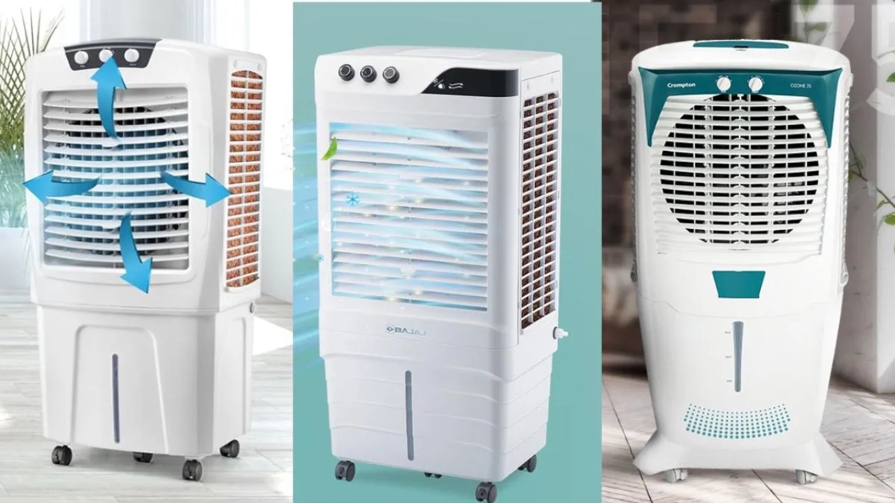 5 Best Coolers